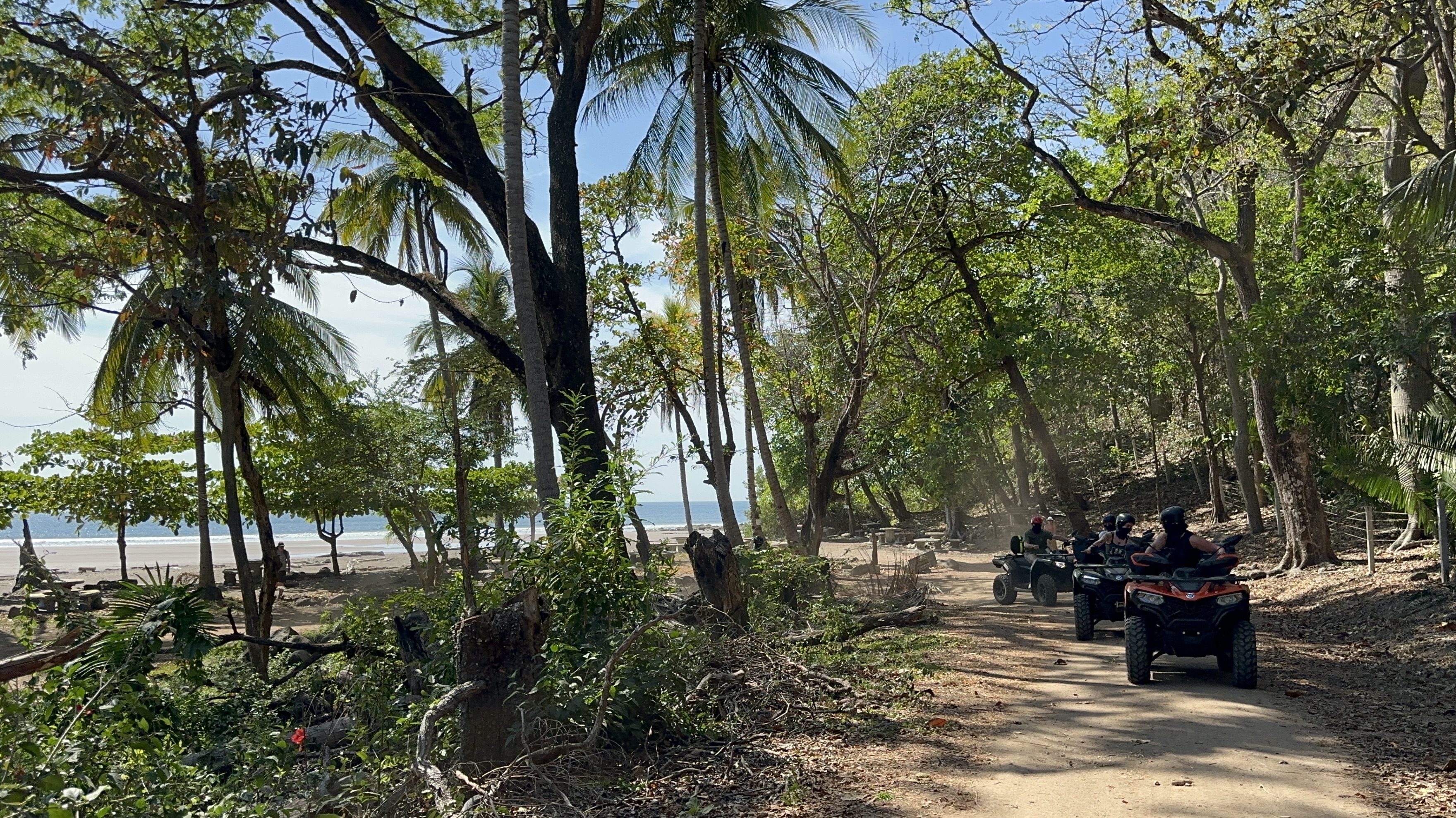 Jungle & Beach